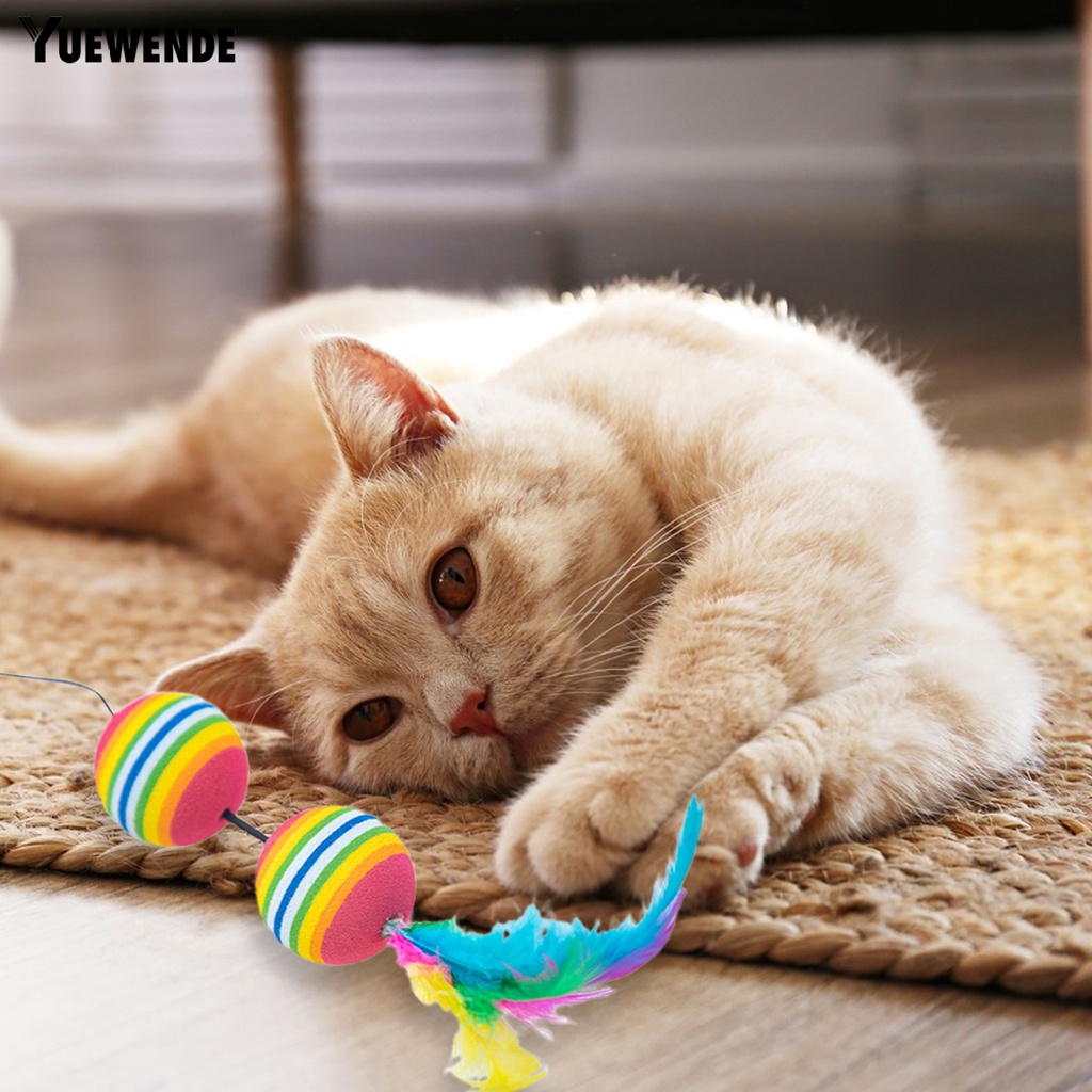 Bộ 2 Đồ Chơi Quả Bóng EVA Nhiều Màu Sắc Tươi Sáng Chống Cắn Thân Thiện Với Môi Trường Không Mùi Cho Mèo Cưng