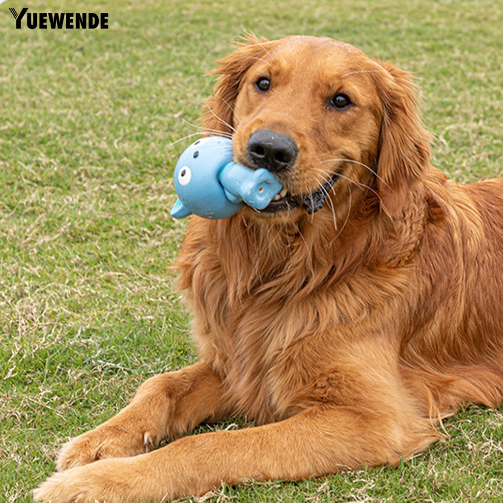 Yq.e Đồ Chơi Nhai Gặm Chống Cắn Hình Yêu Tinh Bằng Cao Su Mềm Kích Thước Nhỏ Vừa Và Vừa Lớn Cho Thú Cưng