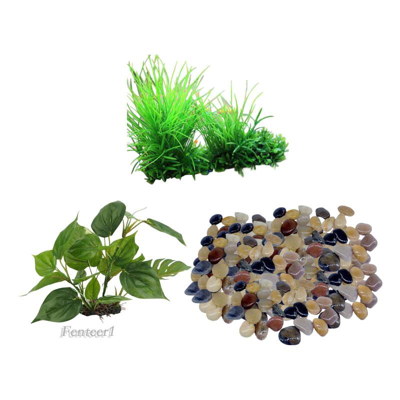 1 Cây Cảnh Ẩn Đường Đi Trang Trí Bể Cá