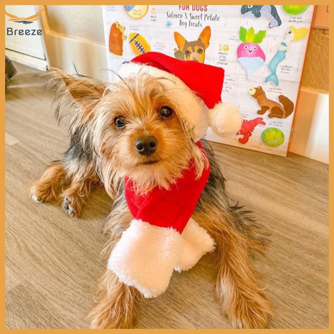 Set Khăn Choàng Cổ + Mũ Giáng Sinh Mềm Mại Thoải Mái Giữ Ấm Mùa Đông Cho Thú Cưng