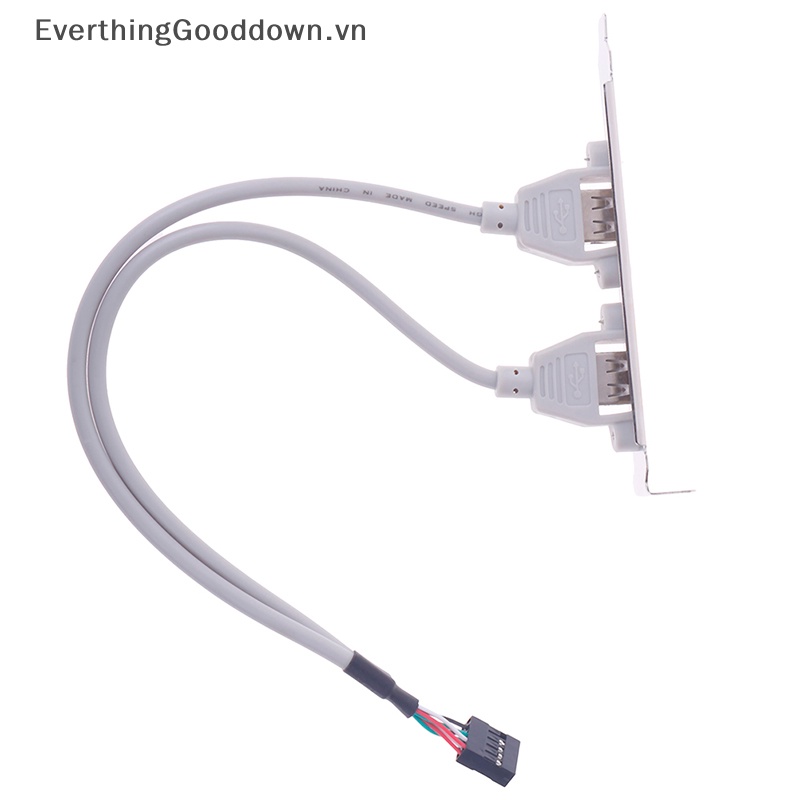 Everthingooddown 1 Bảng Mạch Mở Rộng Cổng USB 2.0 2 Cổng