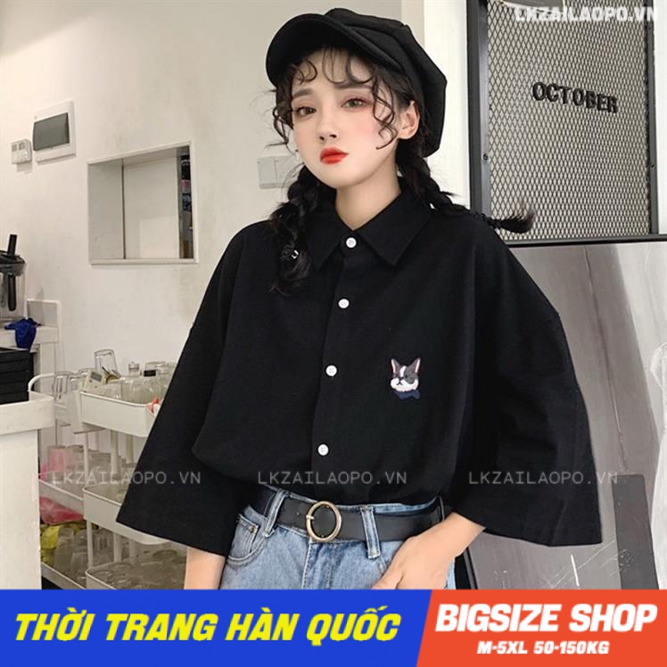 Áo thun nữ tay ngắn Bigsize Áo polo kiểu form rộng có cổ đen mùa hè Phong cách Hàn Quốc Thời Trang đẹp