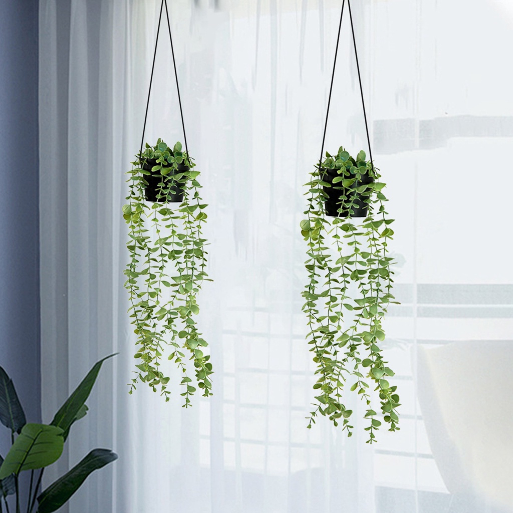 Cây Bạch Đàn Giả Chống Rơi Không Phai Dùng Trang Trí Trong Nhà