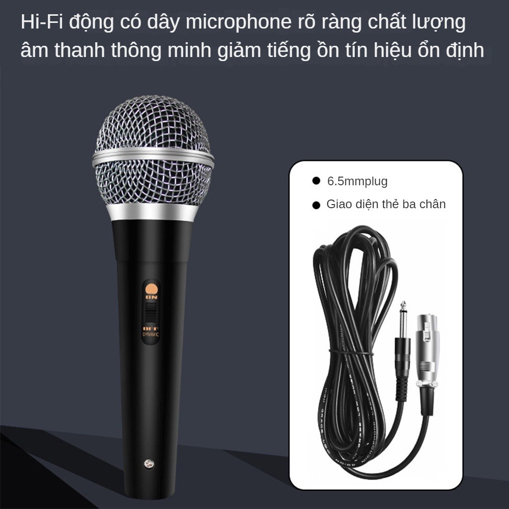 Loa Bluetooth Micro có dây Hỗ trợ Singer Cầm micro động