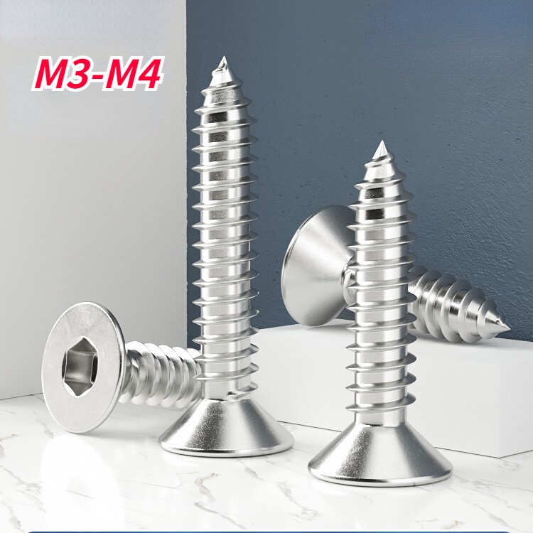 Vít Đầu Lục Giác Dẹp Sus304 M2M3M4M5M6 Chuyên Dụng