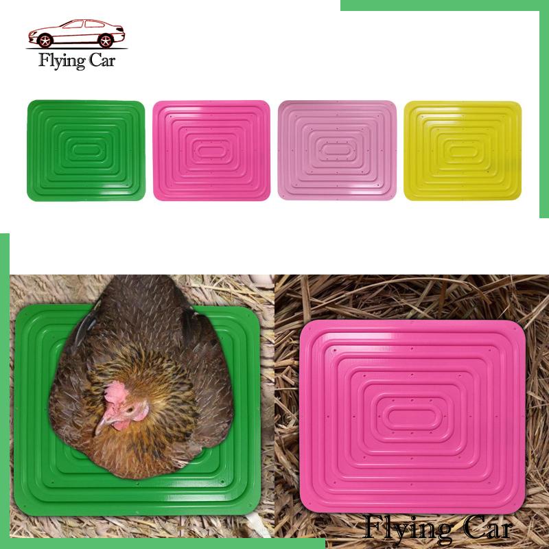 Đệm Nằm Dạng Tổ Cho Gà Tiện Dụng