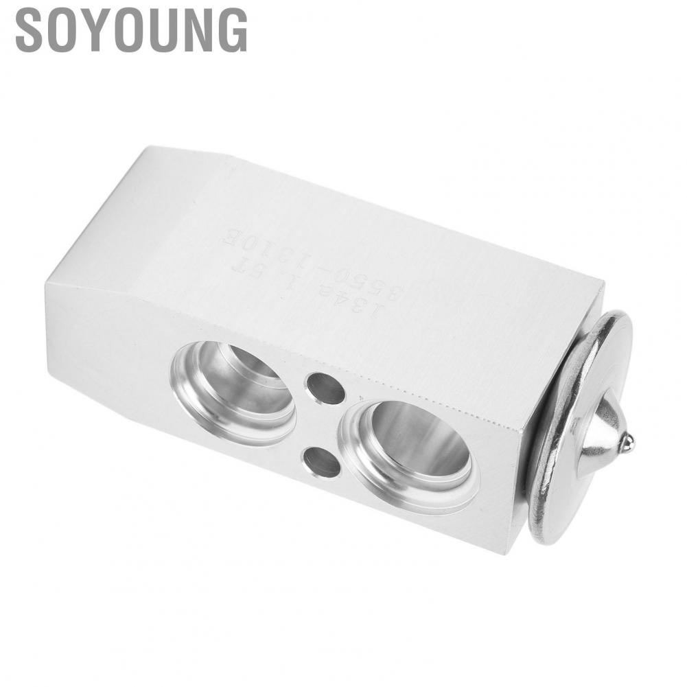 Soyoung 3411868  Reliable Lightweight High Efficiency AC Expansion Valve Front for Cars