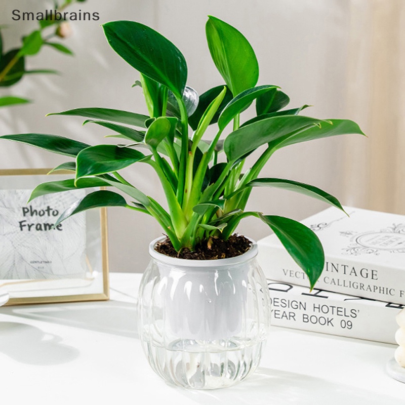1 Chậu Nhựa Trồng Cây Tự Tưới Hình Quả Bí Ngô Mini