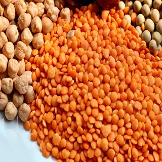 1kg Đậu lăng đỏ (Red Lentils) Canada hữu cơ rất tốt cho sức khoẻ Thiên Thảo Organic