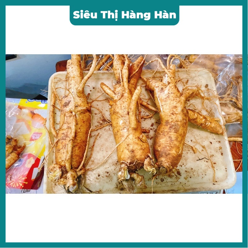 Sâm trọc ngâm mật ong; sâm gãy