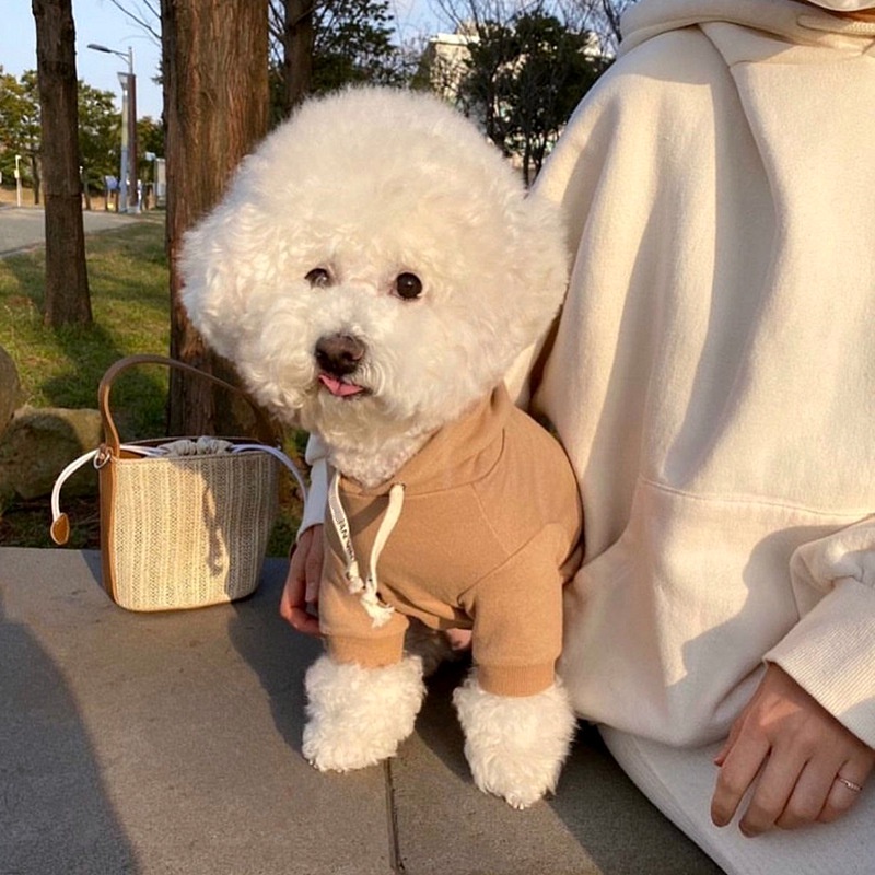 Dễ Thương Áo hoodie Màu Trơn Giữ Ấm Cho Thú Cưng
