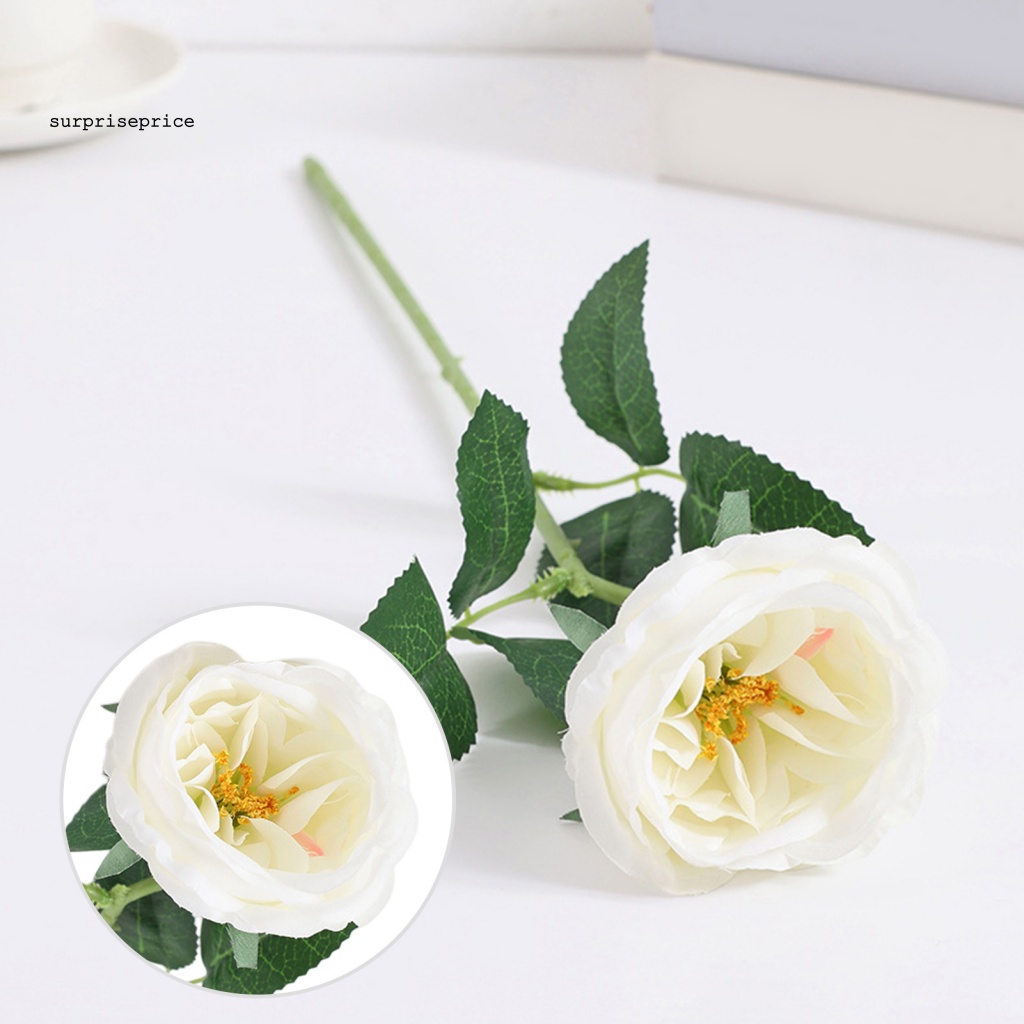 Hoa Hồng Nhân Tạo Màu Trong Suốt Lâu Trôi Dùng Làm Đạo Cụ Chụp Ảnh