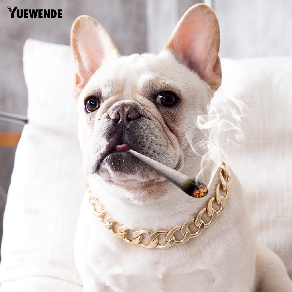 Vòng Cổ Thú Cưng Bằng Nhựa Có Thể Điều Chỉnh Kích Cỡ