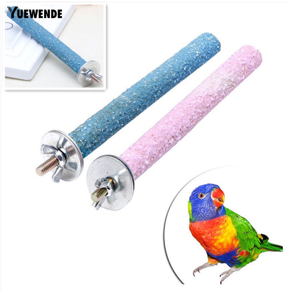 Đồ Chơi Thanh Đứng Cho Vẹt Cưng Nhai Thỏa Thích