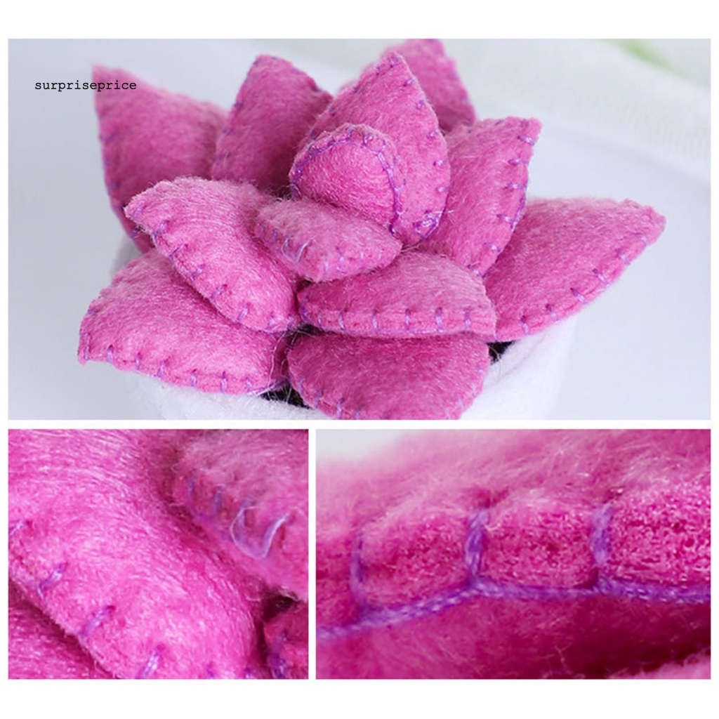 1 Gói Cây Mọng Nước Giả Bằng Vải Không Dệt Thân Thiện Với Môi Trường Cho Người Mới Bắt Đầu