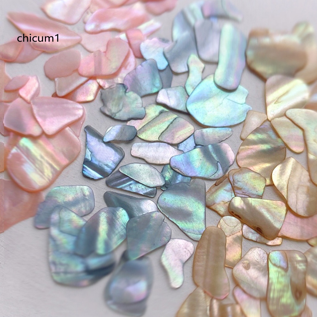 1 Hộp Phụ Kiện Trang Sức / Vỏ Sò Mini Trang Trí Móng Tay Nghệ Thuật Sáng Tạo