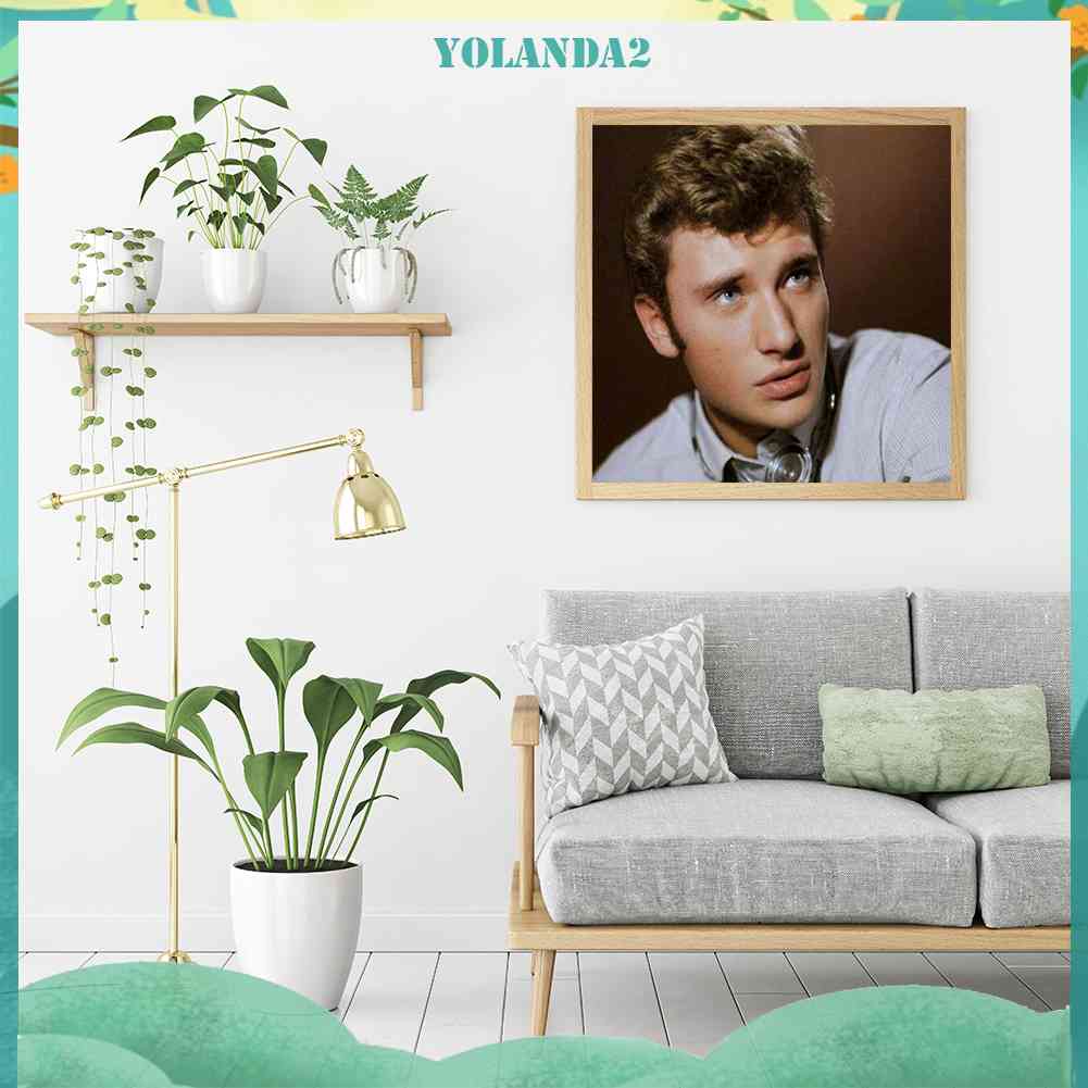 Tranh Đính Đá Kim Cương Toàn Bộ 5D DIY Hình Johnny Aliday