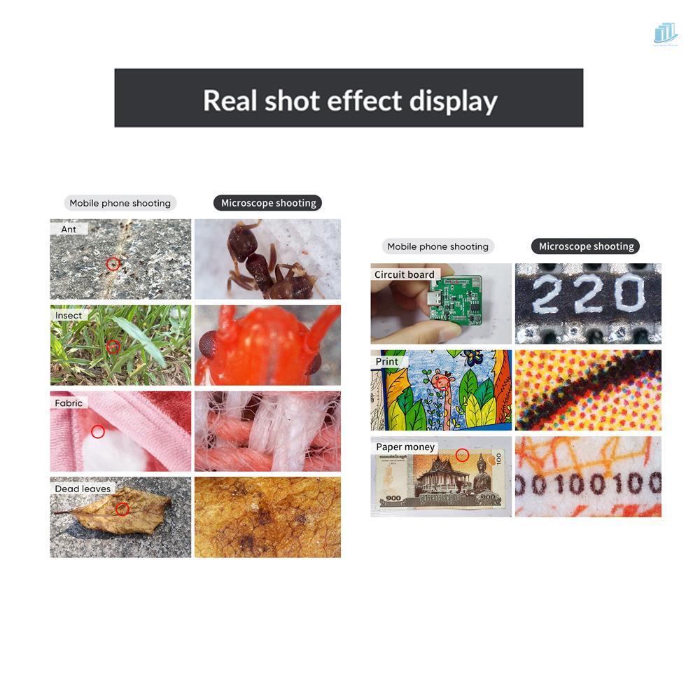 Kính Hiển Vi Kỹ Thuật Số 2 Megapixel Cầm Tay Phóng Đại 12-24X Có Đèn LED 6 Bóng 75 Độ° Góc Vuông Adusus Aduss