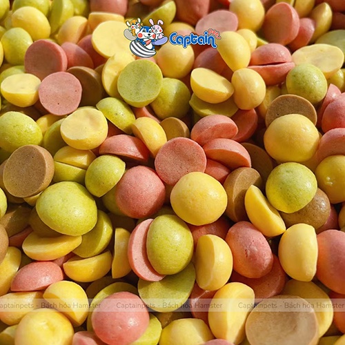 Bánh trứng gà non rau củ cho Hamster