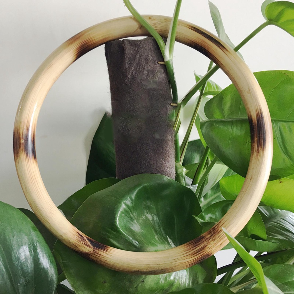 Vòng Tập Cơ Tay 8 Cánh 5in Chuyên Dụng Cao Cấp