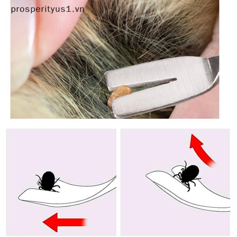 Nhíp Nhổ Lông Mèo Chuyên Nghiệp Bằng Thép Không Gỉ 2 Trong 1