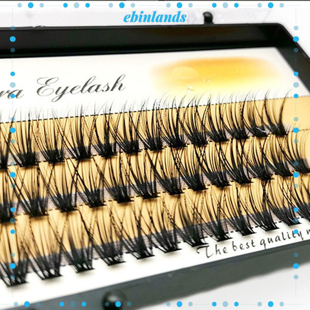 1 Hộp 60 Gói Lông Mi Giả EBINLANDS 8~16mm Trang Điểm Tự Nhiên