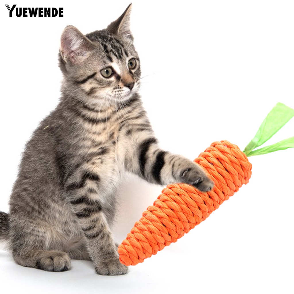 Đồ Chơi Nhai Gặm Hình Củ Cà Rốt Dễ Thương Cho Thú Cưng