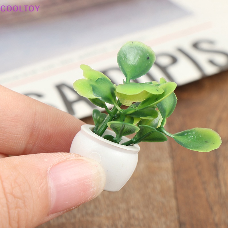 Set 5 Mô Hình Chậu Cây Mini Tỉ Lệ 1: 12 Dùng Để Trang Trí Nhà Búp Bê