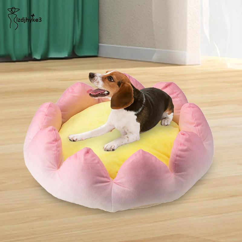 Giường Ngủ Hình Hoa Sen Chống Trượt Thoải Mái Giữ Ấm Mùa Hè Cho Thú Cưng