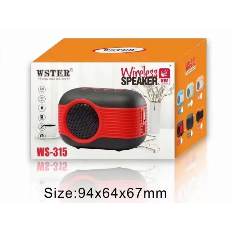 Loa bluetooth Ws 315 không dây âm thanh chuẩn , mẫu decor đẹp mắt kèm dây treo , tích hợp USB , thẻ nhớ , FM