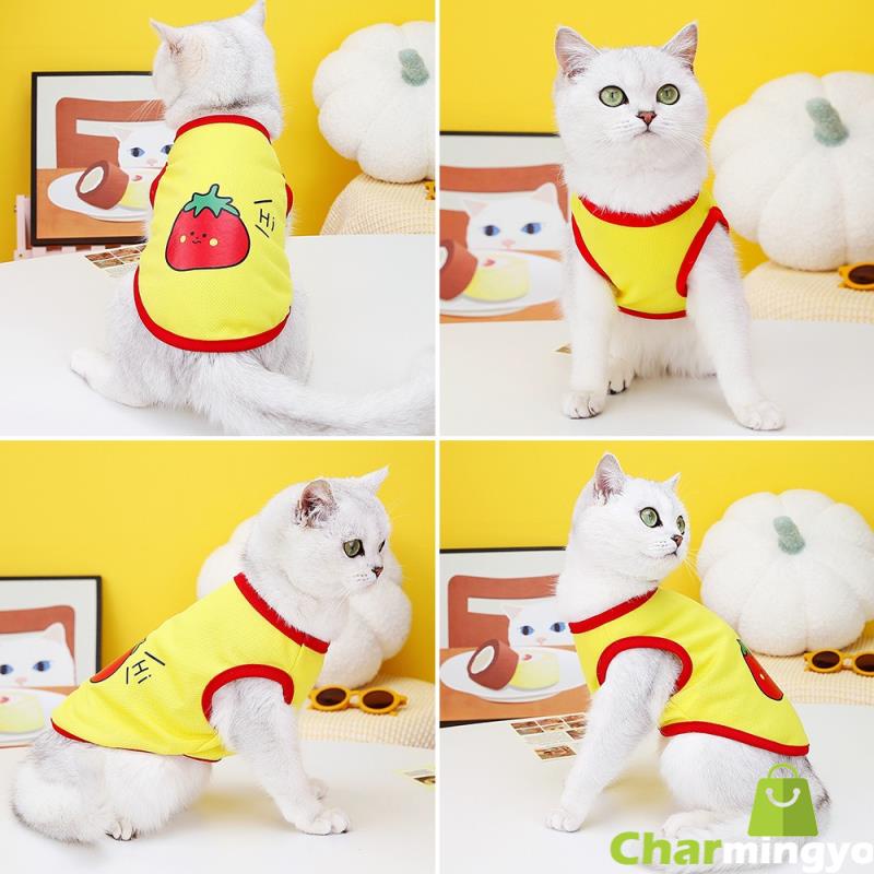 Áo Chống Nắng In Họa Tiết Trái Cây Hoạt Hình Dành Cho Thú Cưng