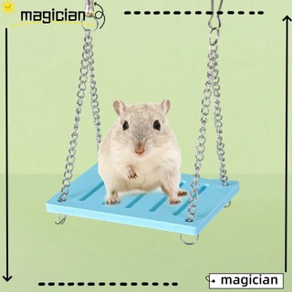 Bộ Đồ Chơi Cầu Gỗ Tập Thể Dục Cho Chuột Hamster