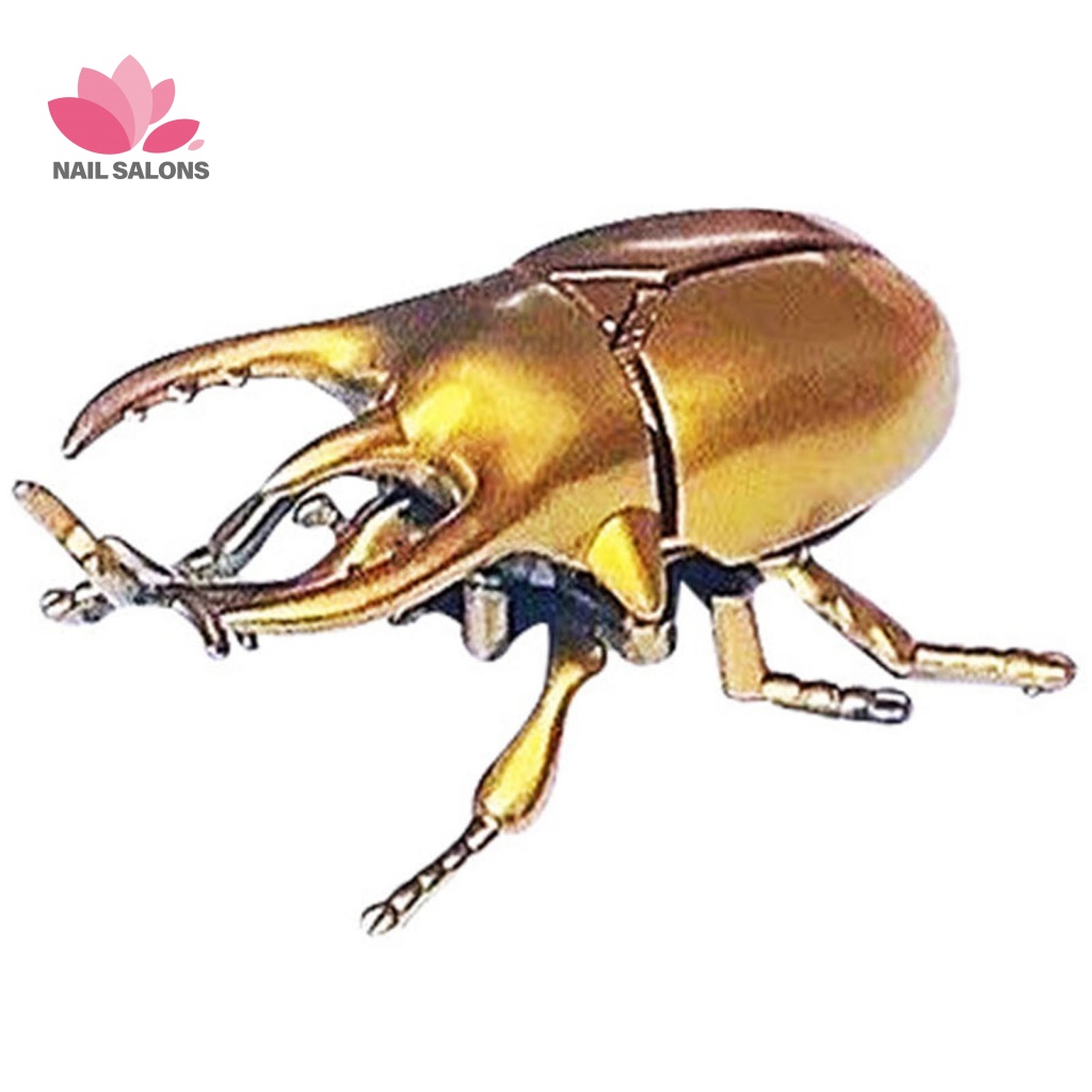 Đồ Chơi Mô Hình Bọ Cánh Cứng Mini Có Thể Di Chuyển Cho Bé