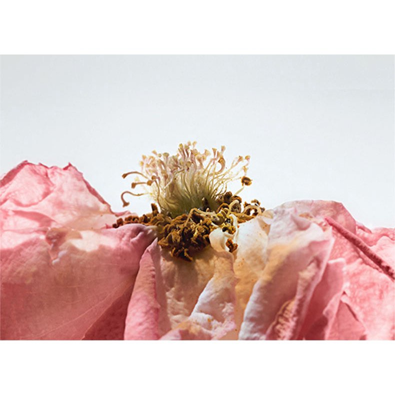 Gel Tắm Axit Trái Cây Dưỡng Ẩm Lâu Trôi Làm Sạch Da Mềm Mịn Dành Cho Nam Và Nữ