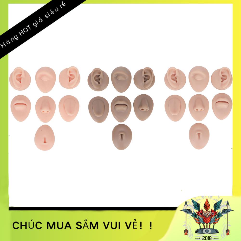 BeautyTop01 Phòng Thân Thực Hành Mô Hình Phỏng Silicone Tai Mắt Mũi Miệng Lưỡi Và Bụng Mẫu Cho Người Mới Khuyên