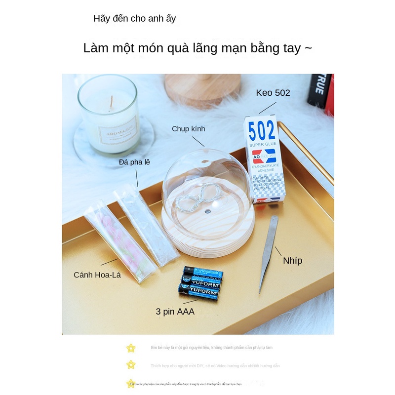 Đèn Led Ngủ Để Bàn Hình Cây Hoa Linh Lan Trong Lồng Kính, Quà Tặng Ý Nghĩa HBT474