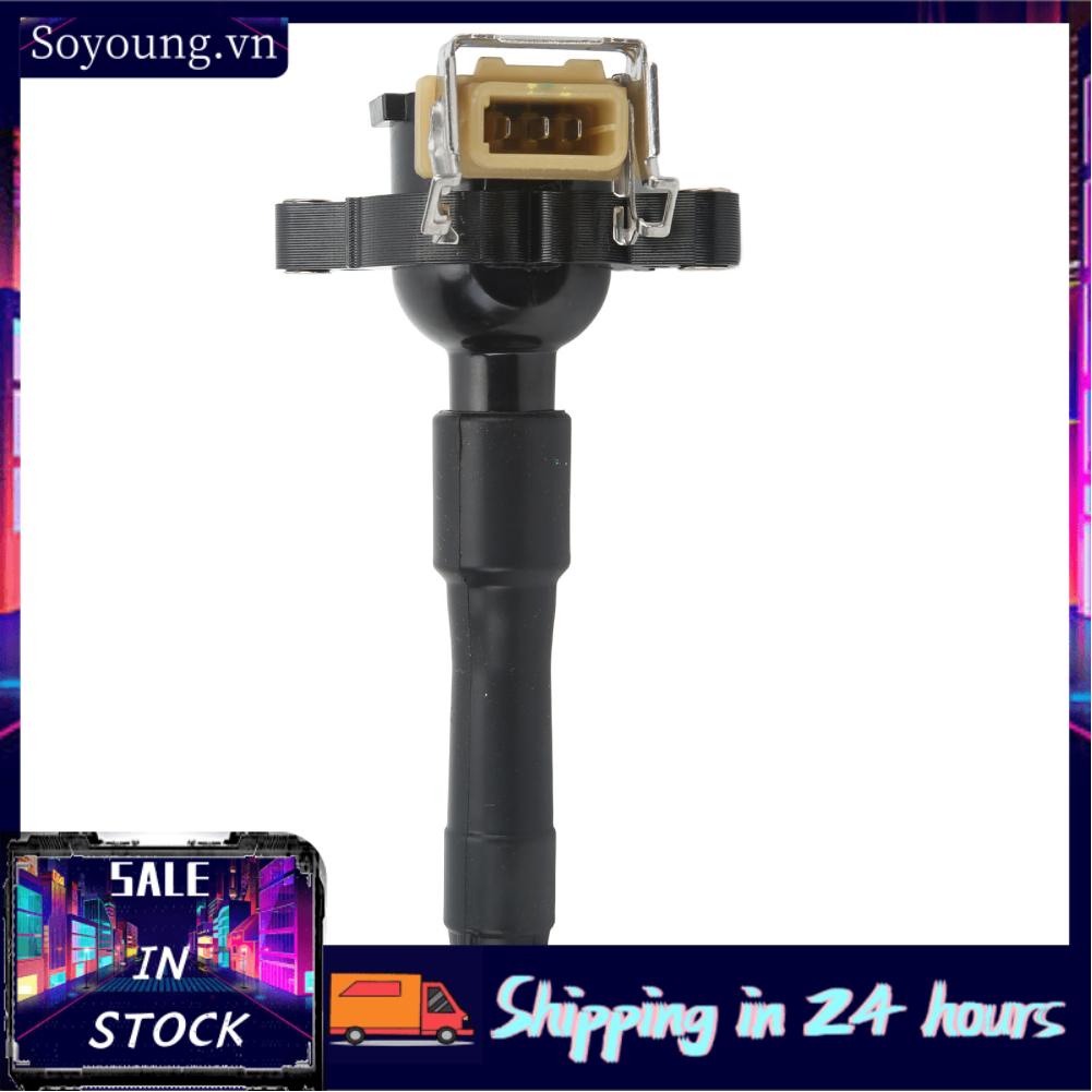 Soyoung Car Ignition Coil  12131748017 Pencil Shape High Temp Resistant Ignition Coil  for Automobile