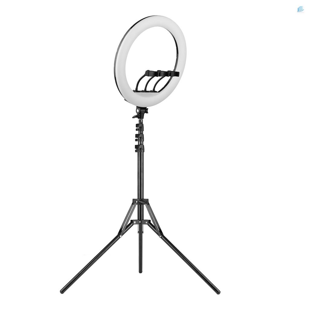 Set 3 Vòng Đèn LED 21 Inch Có Thể Điều Chỉnh Độ Sáng 3000K-6000K Kèm Giá Đỡ Ba Chân