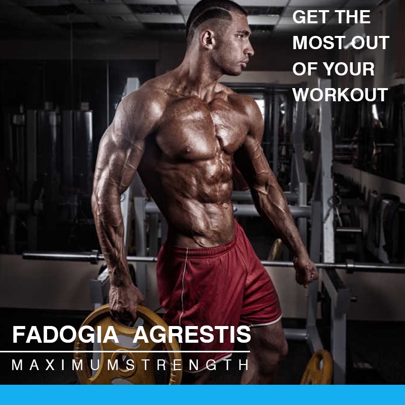 Viên Nang Turkesterone Bổ Sung 500mg  - Hiệu Suất, Hiệu Suất Cơ Bắp Và Cơ Bắp -