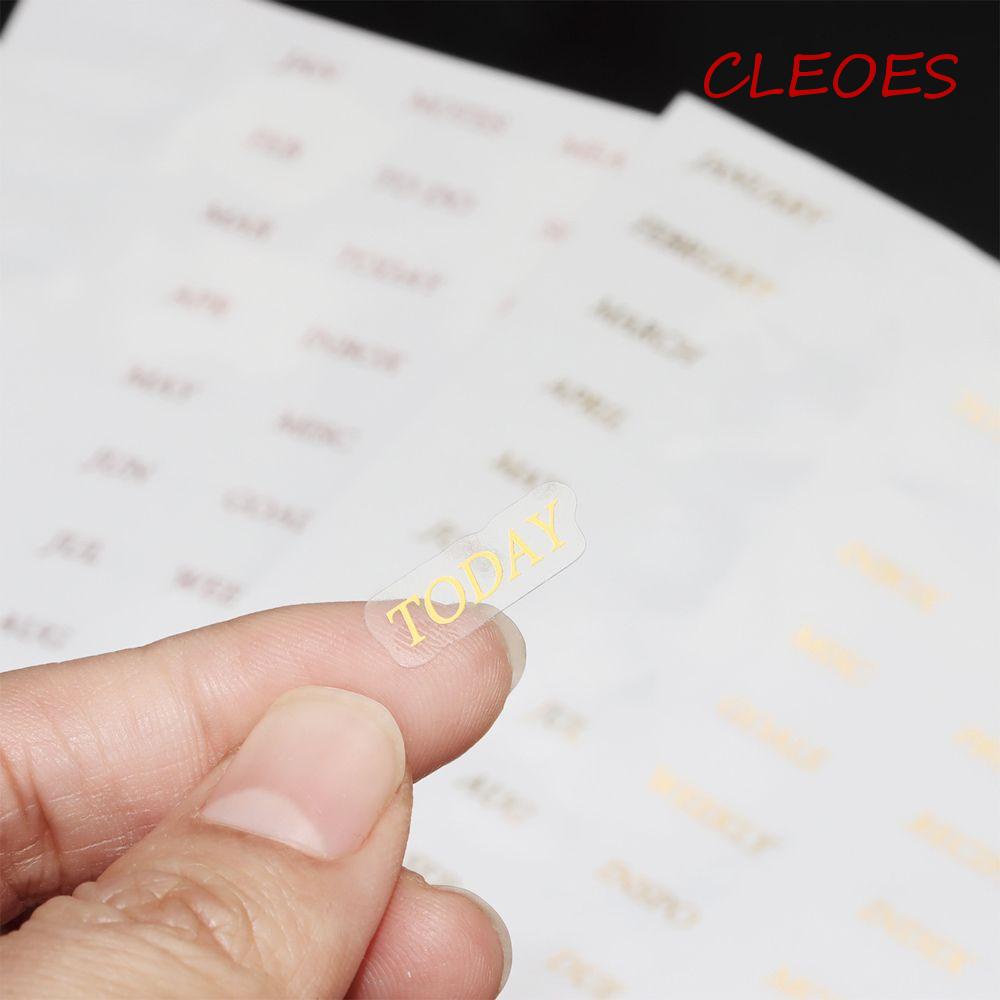 Set 6 / 12 / 6 Sổ Tay Khổ A5 / A6 Họa Tiết Lá CLEOES