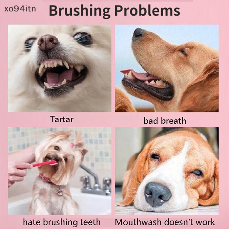 Bàn Chải Đánh Răng 360 Độ 1 Cái Cho Thú Cưng