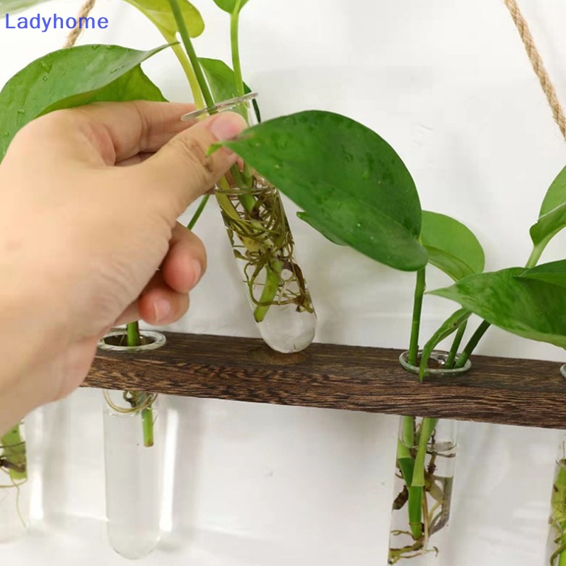 Móc Treo Đĩa Vinyl Dán Tường Siêu Dính Cho Phòng Ngủ