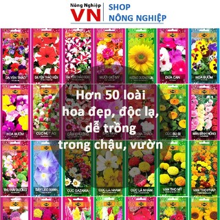 Nhiều loại hạt giống hoa đẹp, độc lạ, dễ trồng trong chậu, ngoài vườn, ban công