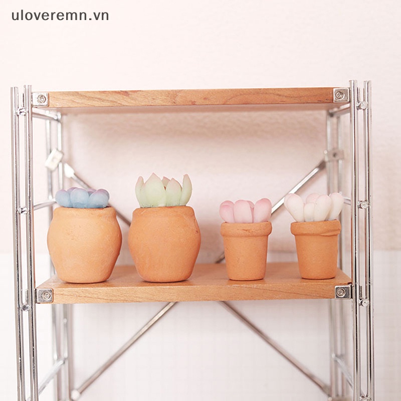 Mô Hình Chậu Cây Mọng Nước Trang Trí Nhà Búp Bê Tỉ Lệ 1: 12