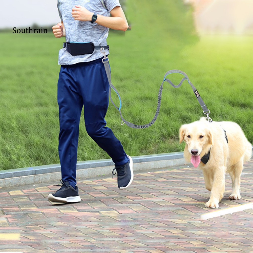 Dây Dắt Thú Cưng Co Giãn Phản Quang Chống Mài Mòn Kích Thước Vừa Và Lớn Sử Dụng Hàng Ngày
