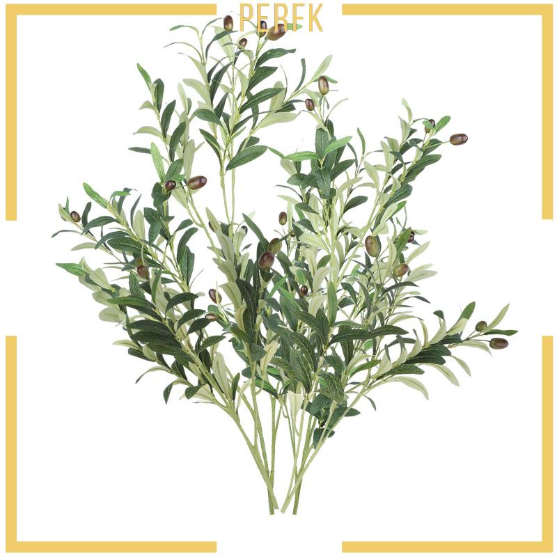 Cành Ô Liu Dùng Làm Đạo Cụ Chụp Ảnh / Trang Trại / Sân Vườn