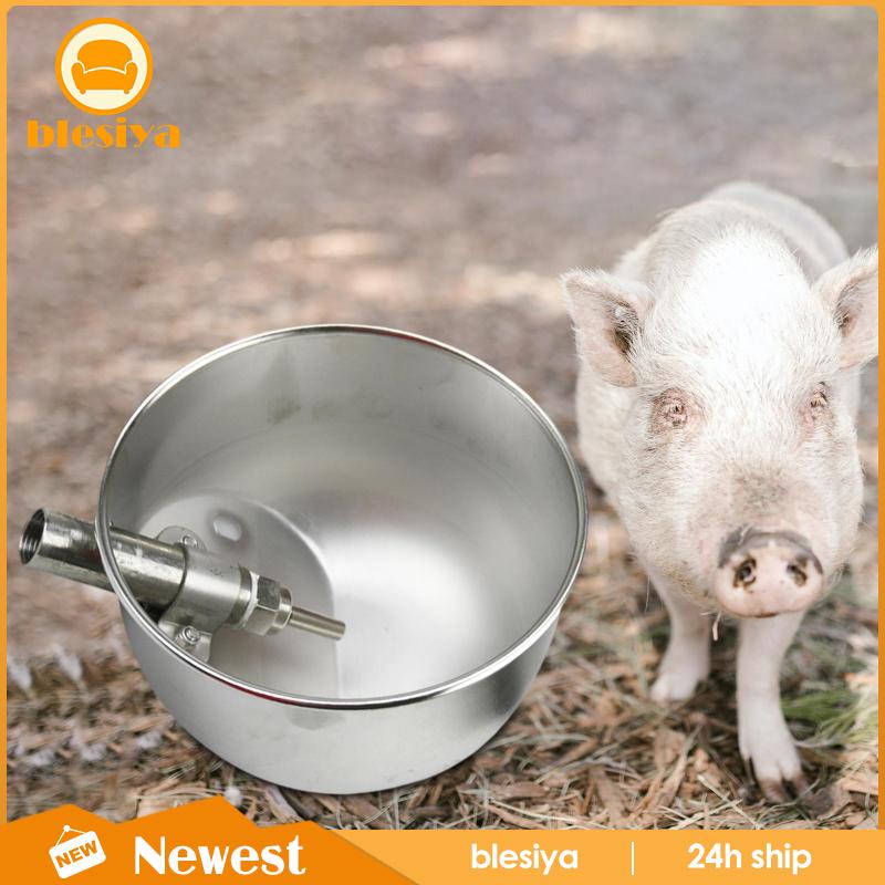 Bát Uống Nước Tự Động Cho Thú Cưng