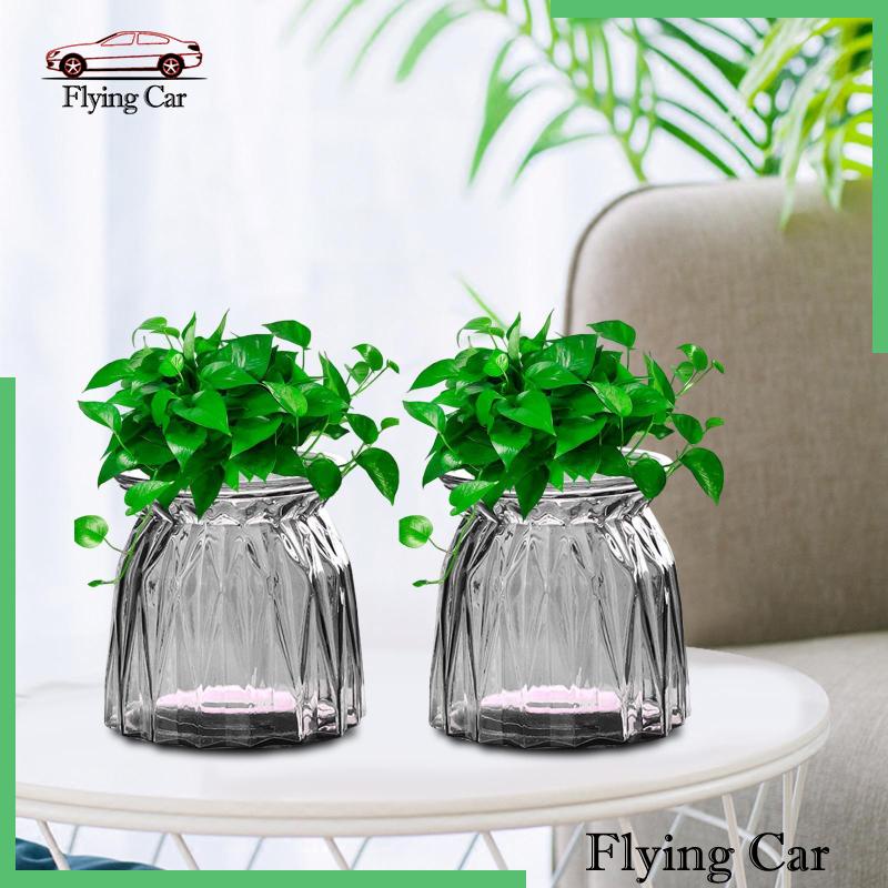 [Lzdjfmy2] 2 Bình Thủy Tinh Trồng Cây Cho Nhà Nông Trại Văn Phòng