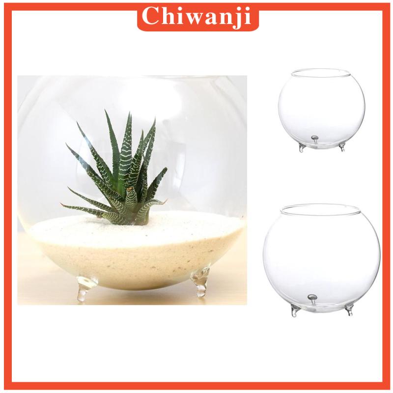 Bình Hoa Micro DIY Trang Trí Phong Cảnh