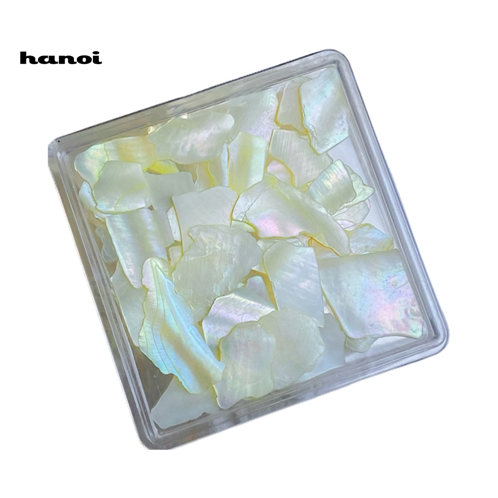1 Hộp Vỏ Sò Tự Nhiên Siêu Mỏng Trang Trí Móng Tay DIY
